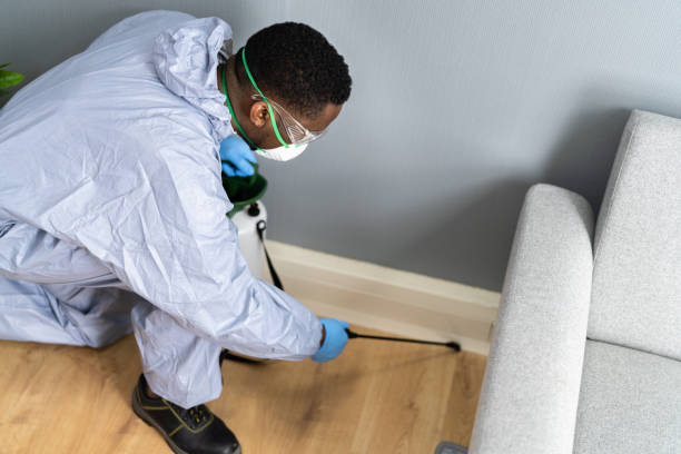 Best Pest Prevention Services  in Hope, IN